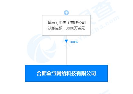 合肥盒馬網(wǎng)絡(luò)科技公司成立，注冊(cè)資本3000萬(wàn)美元聚焦網(wǎng)絡(luò)信息技術(shù)